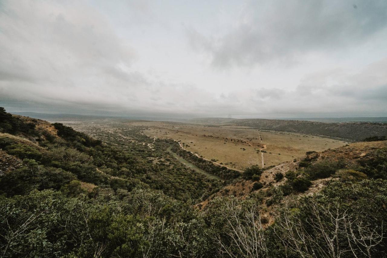 Hlosi Game Lodge - Amakhala Game Reserve Buyskloof Exterior photo