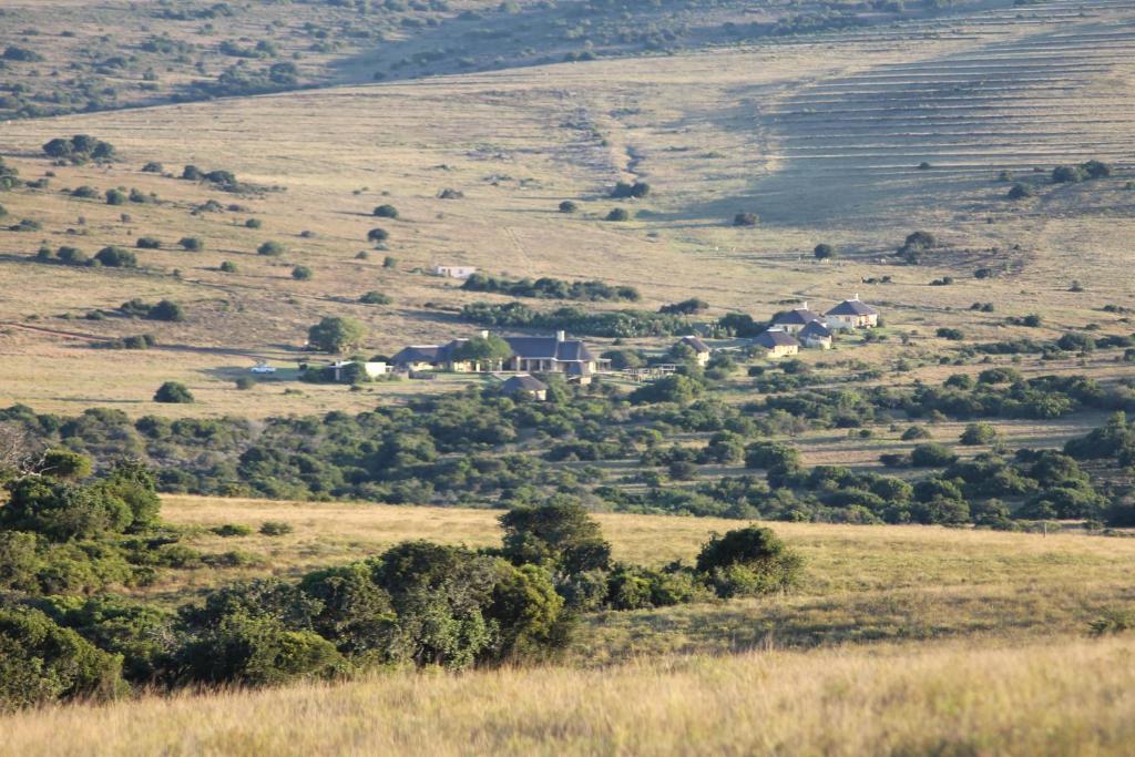 Hlosi Game Lodge - Amakhala Game Reserve Buyskloof Exterior photo