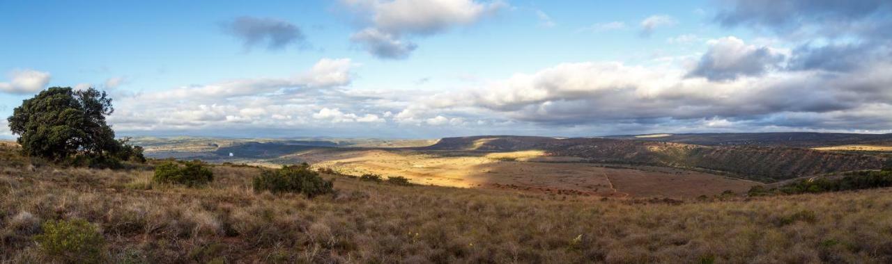 Hlosi Game Lodge - Amakhala Game Reserve Buyskloof Exterior photo